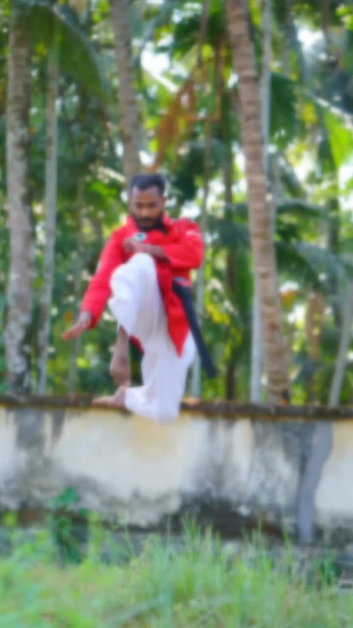 @divoninja