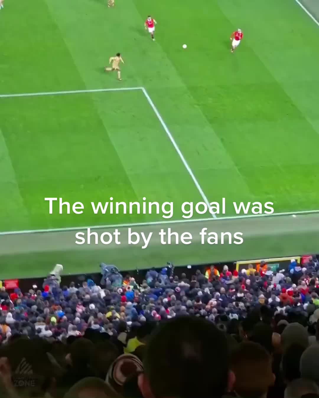 @عاشق اليونايتد