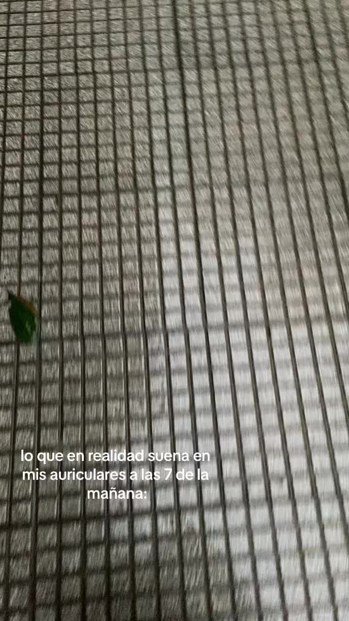 @ludmycricri🫒🍸