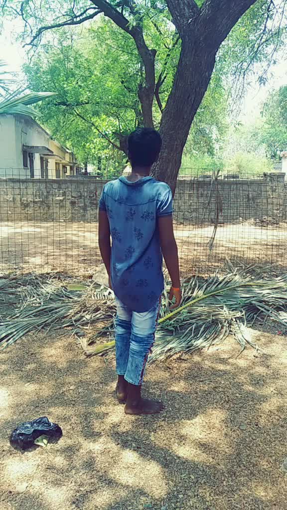 @B.S.85