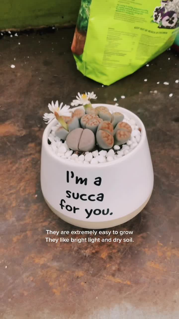 @Plants of Worth