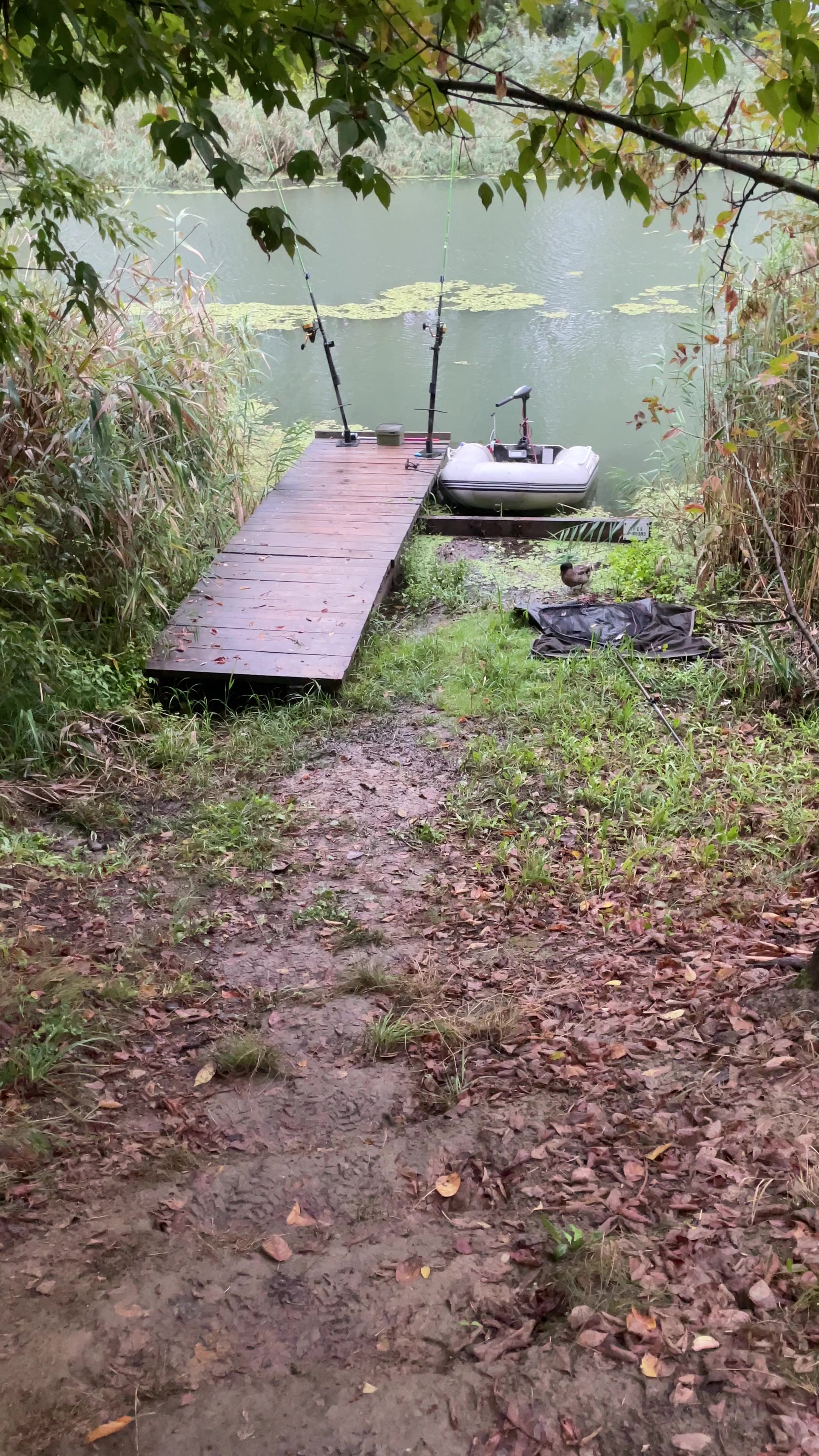 @Galifamili.carpteam
