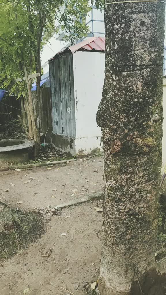 @ചേട്ടനും അനിയന്മാരും