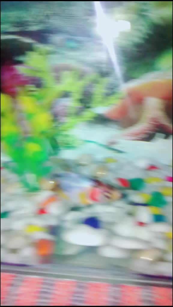 @Mohit kanganheriya