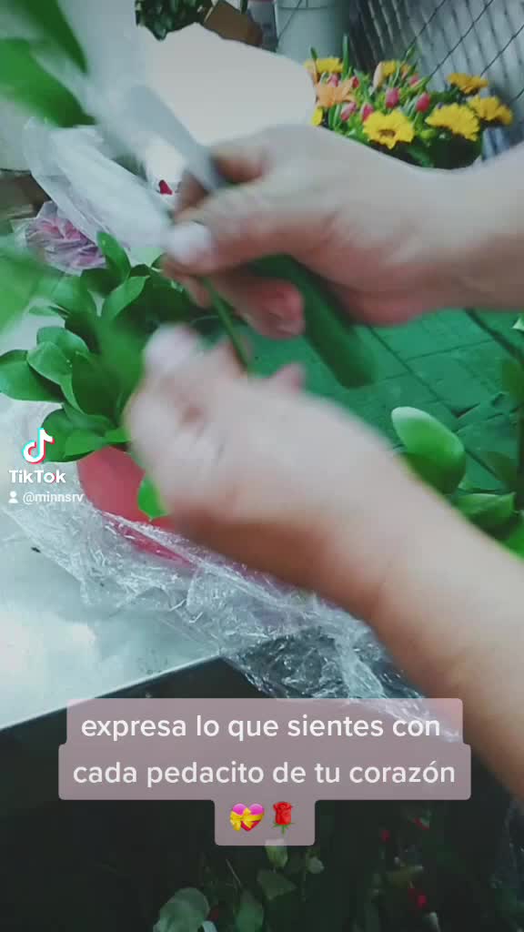 @pedacito de mi corazón