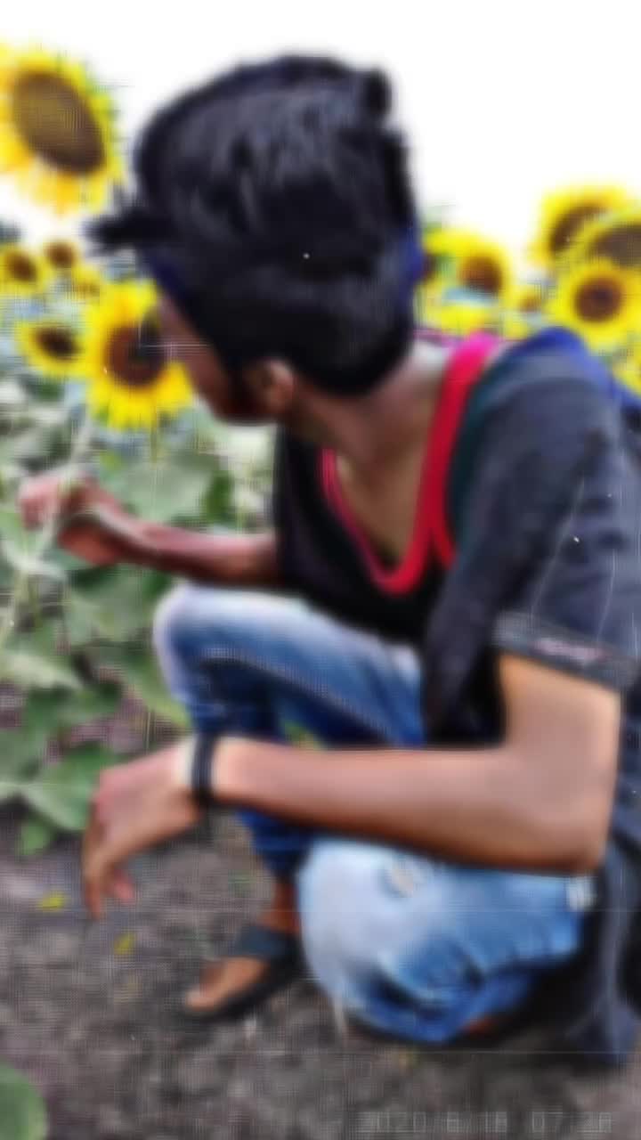 @anruilpa