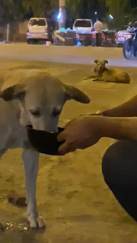 @Amit kumar