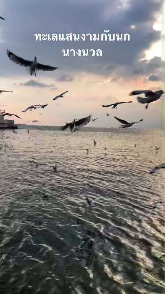 @Tananya Kung