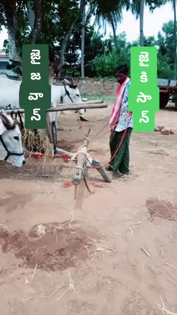 @Gani sani