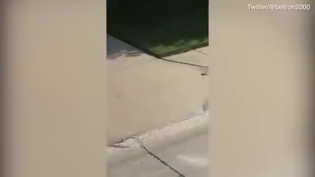 @two wolves high-fiving