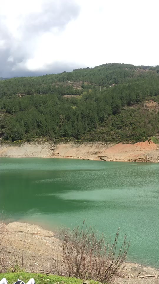 @Mehmet sari