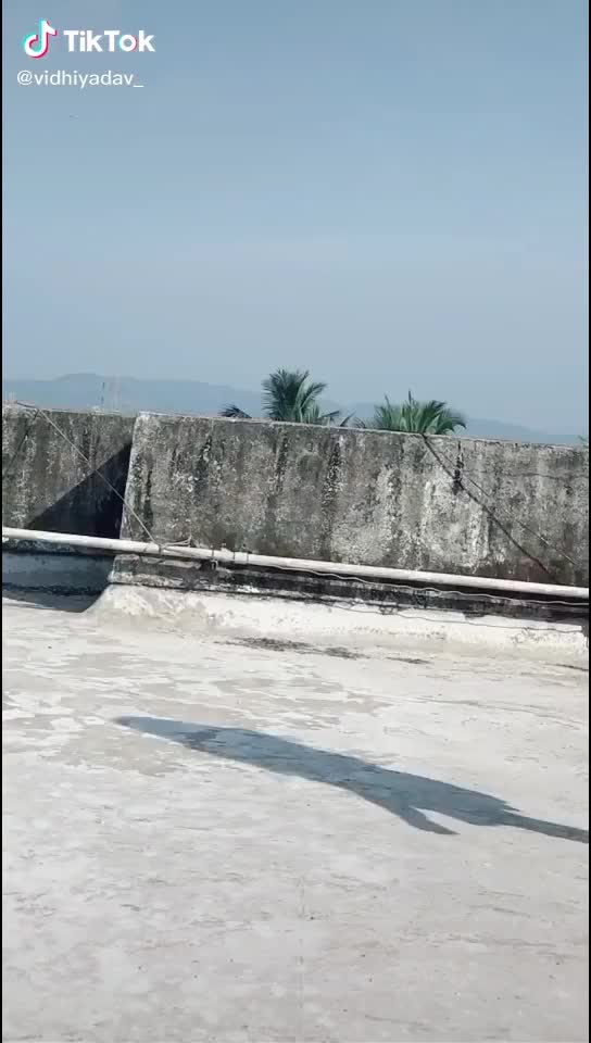 @Bharat Koli