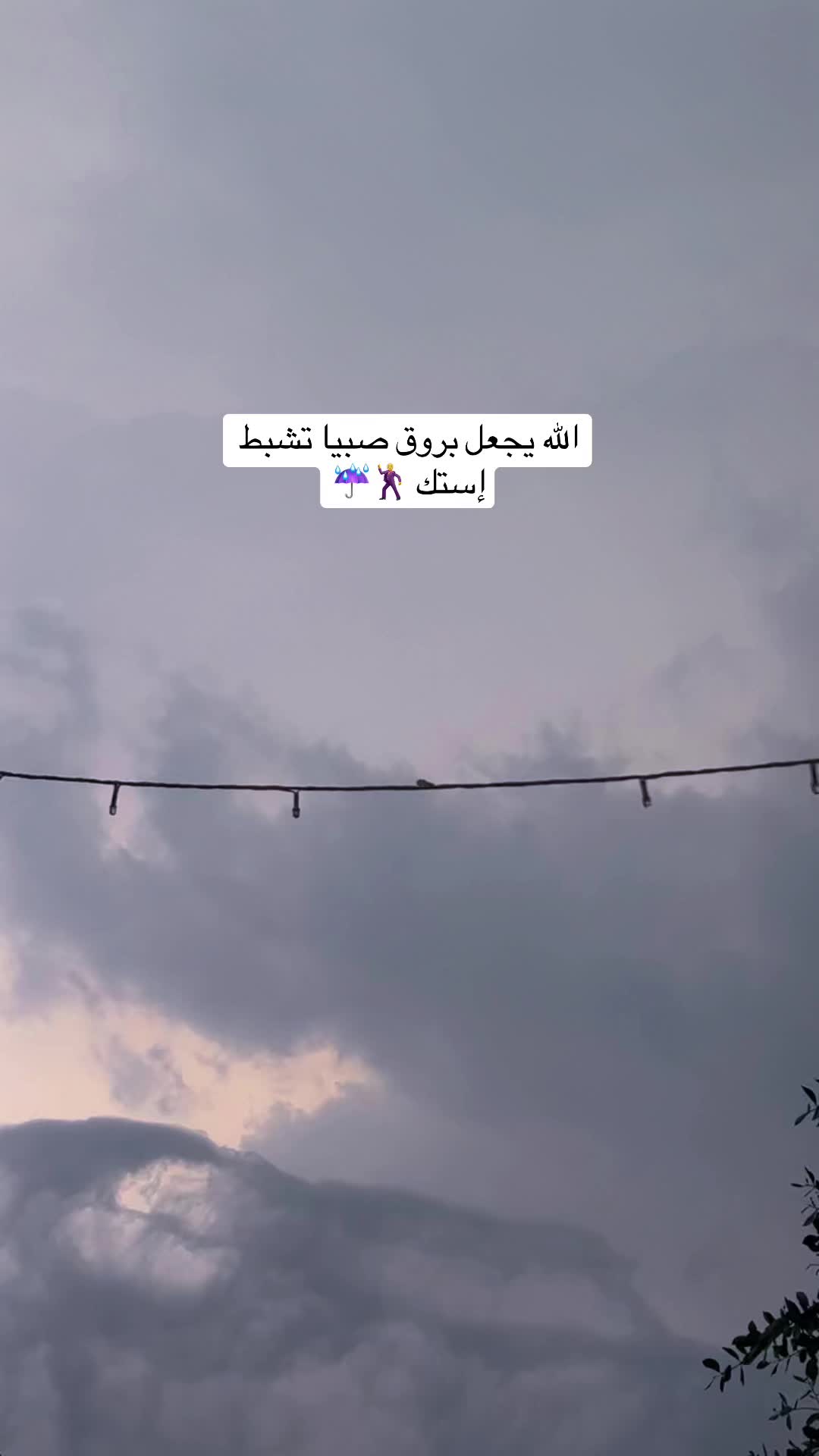 @زهــــــور🌺