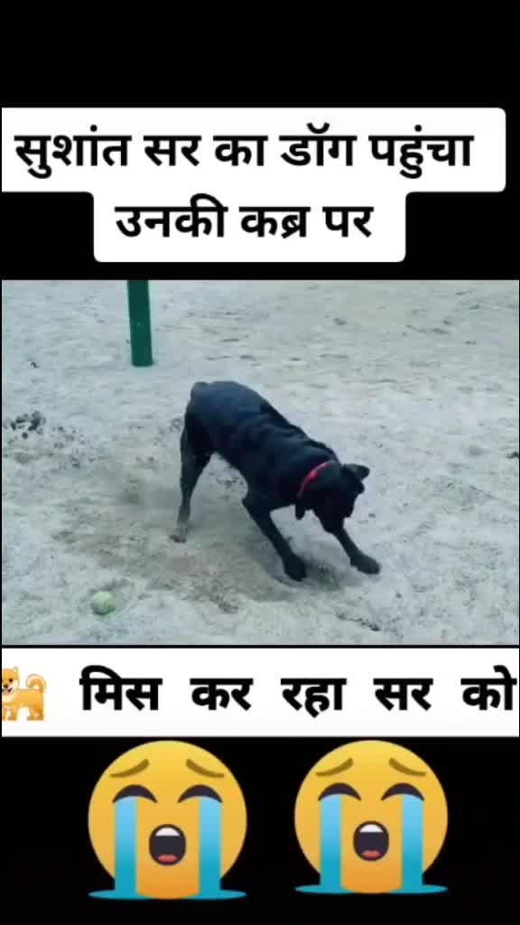 @tiwari_r 👻