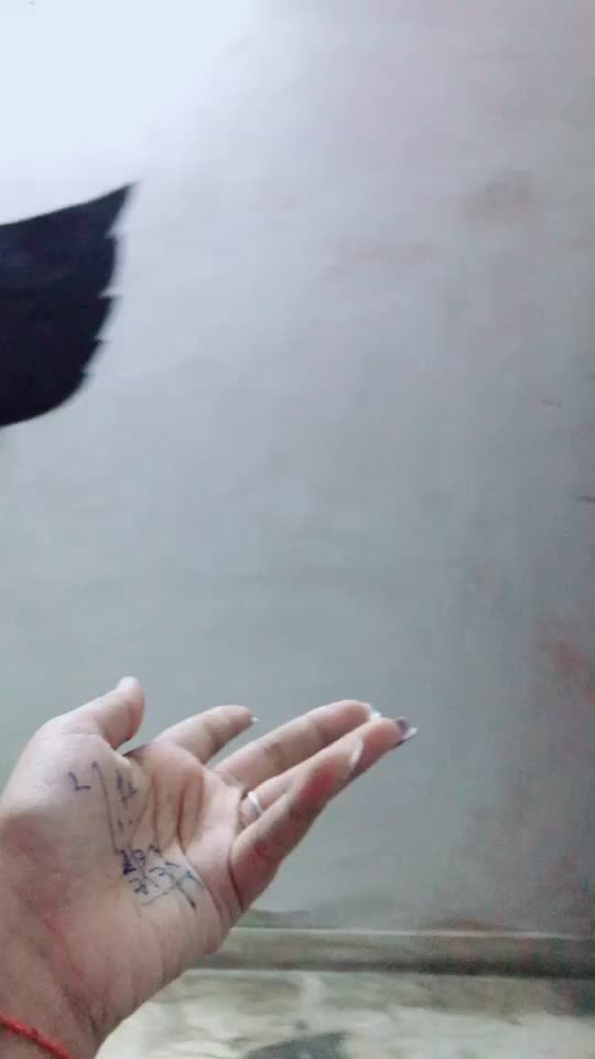 @ritika sharma