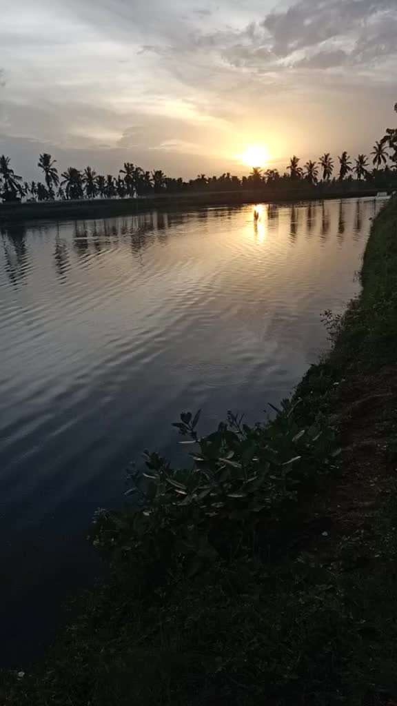 @power 🌟 pavan Kalya