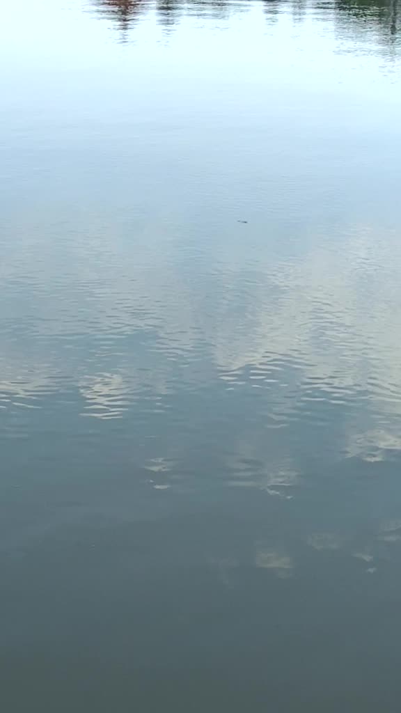 @ഒറ്റപ്പാലംക്കാരൻ❤️