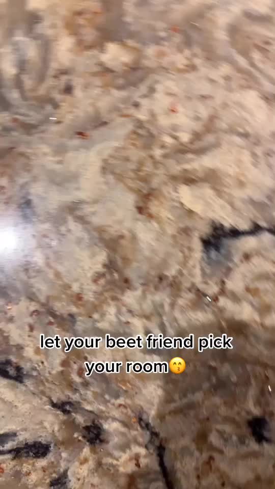 @user6456714913705