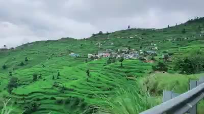 @पहाड़ी_ परवीन_07
