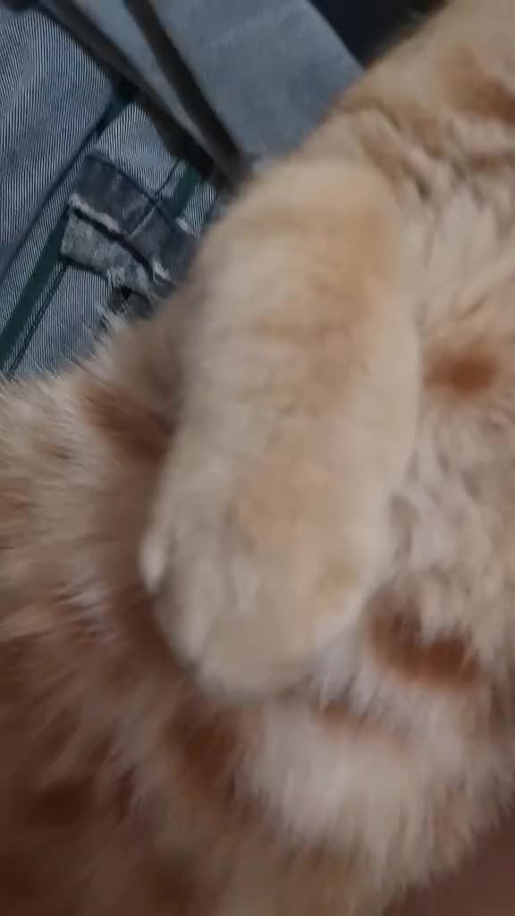 @Пбиджик