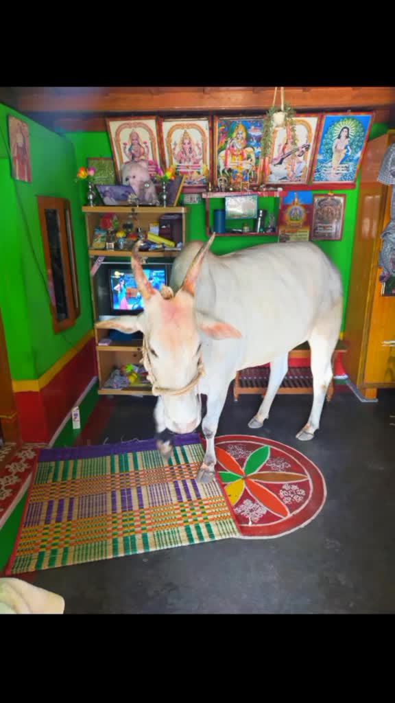 @Allumallu Allumallu
