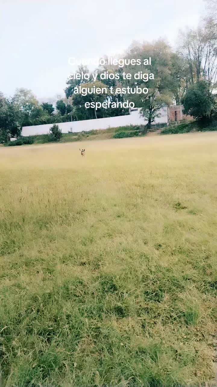 @jasonrolland828