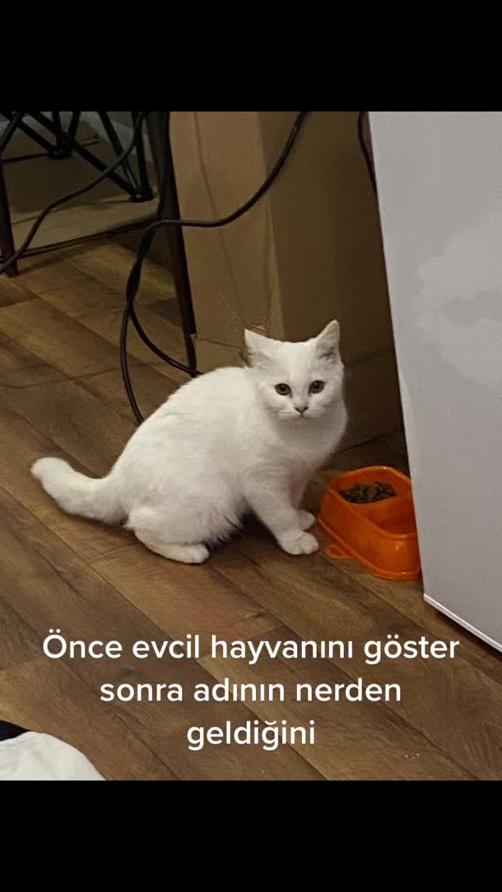 @Soner Demir