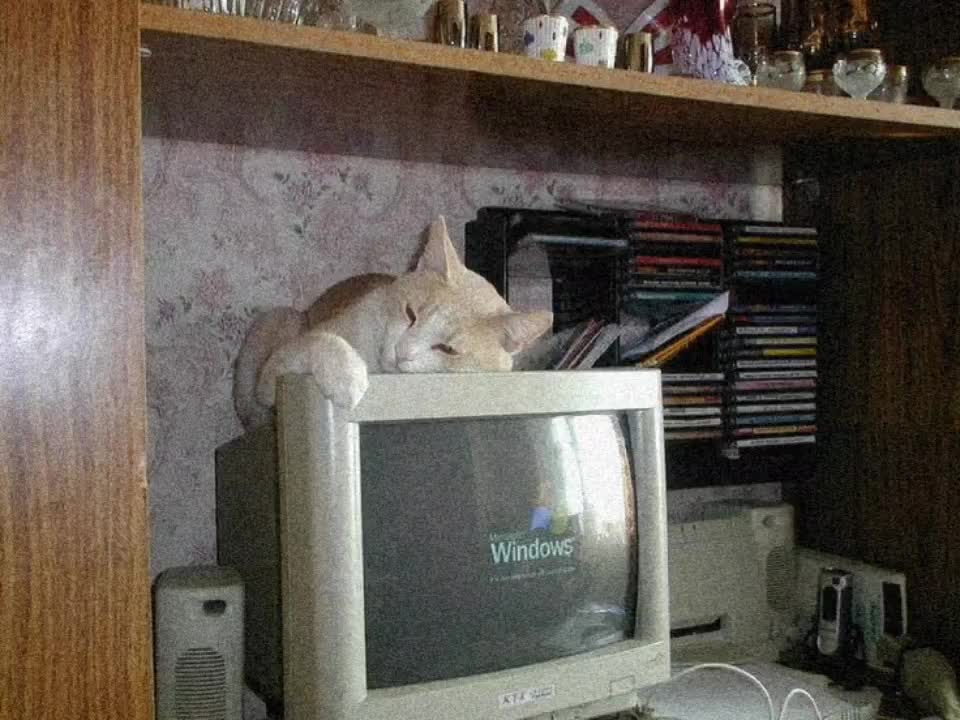 @◦✿.&bull;♫&bull;♬&bull;♬&bull;♫&bull;.◦&bull;✿◉&bull;◦