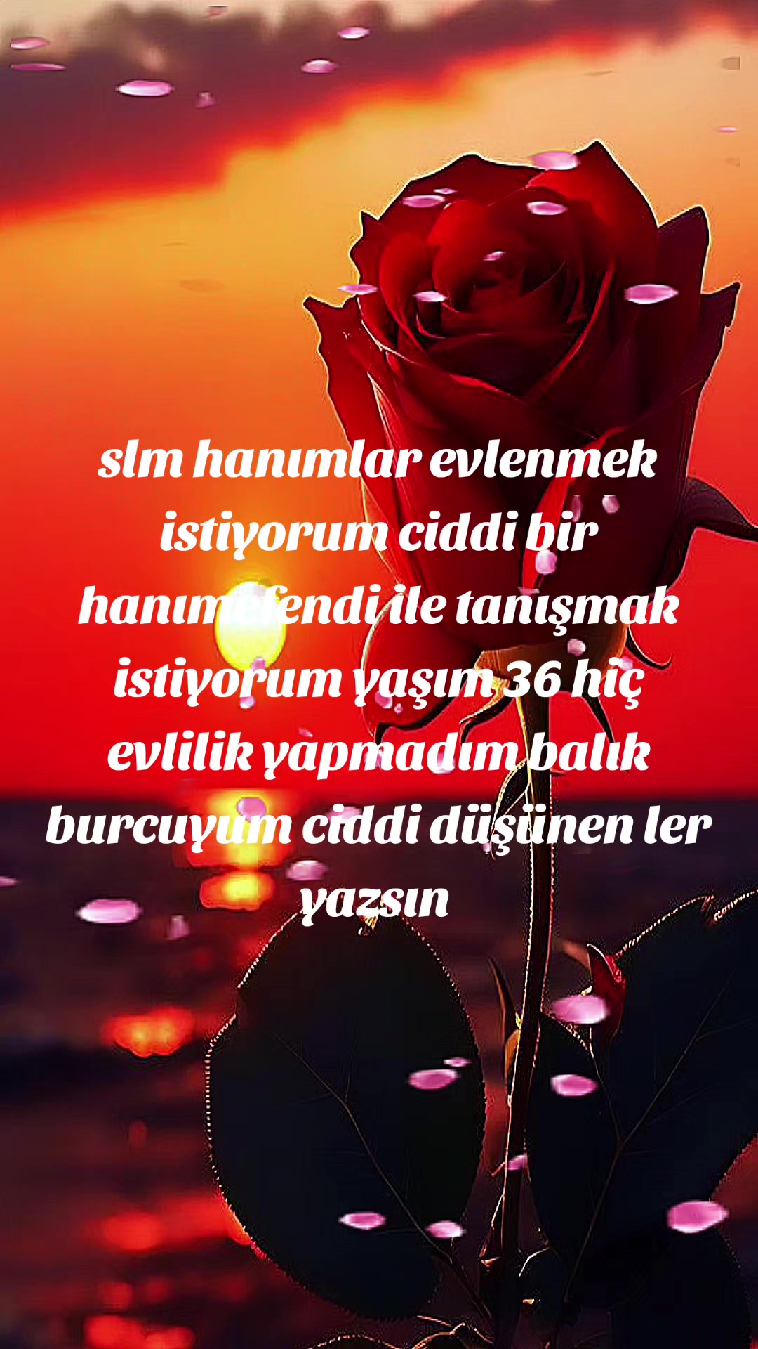 @Mustafa