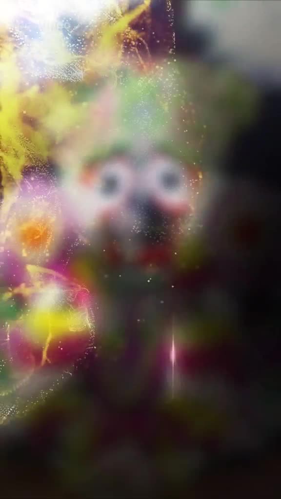 @༄✿ⓙⓘⓣ✿࿐ॐ