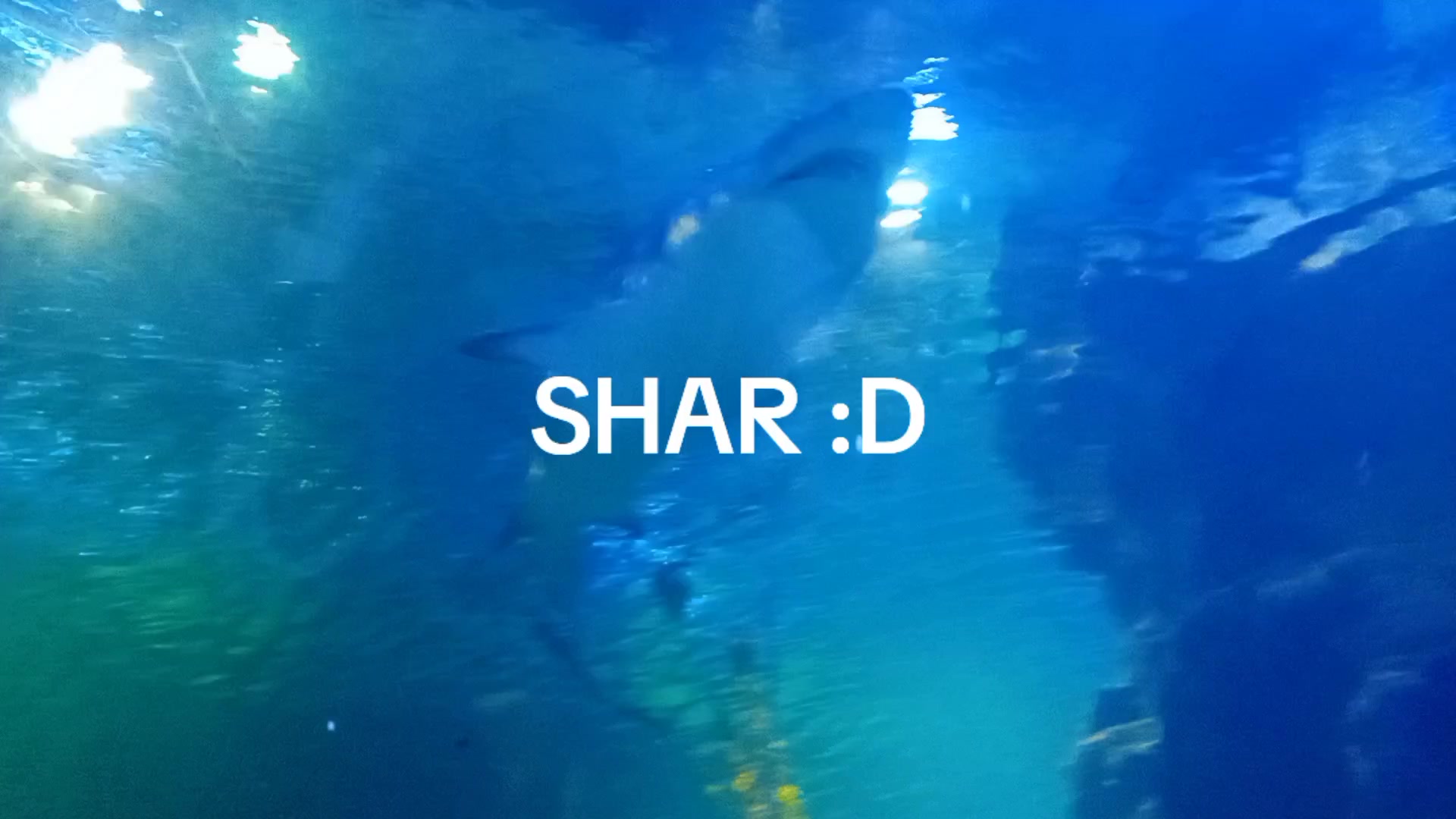 @𝑭𝒆𝒓𝒏