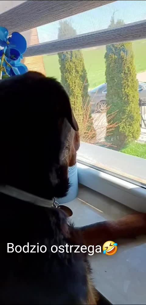 @eelkaa1988wp.pl