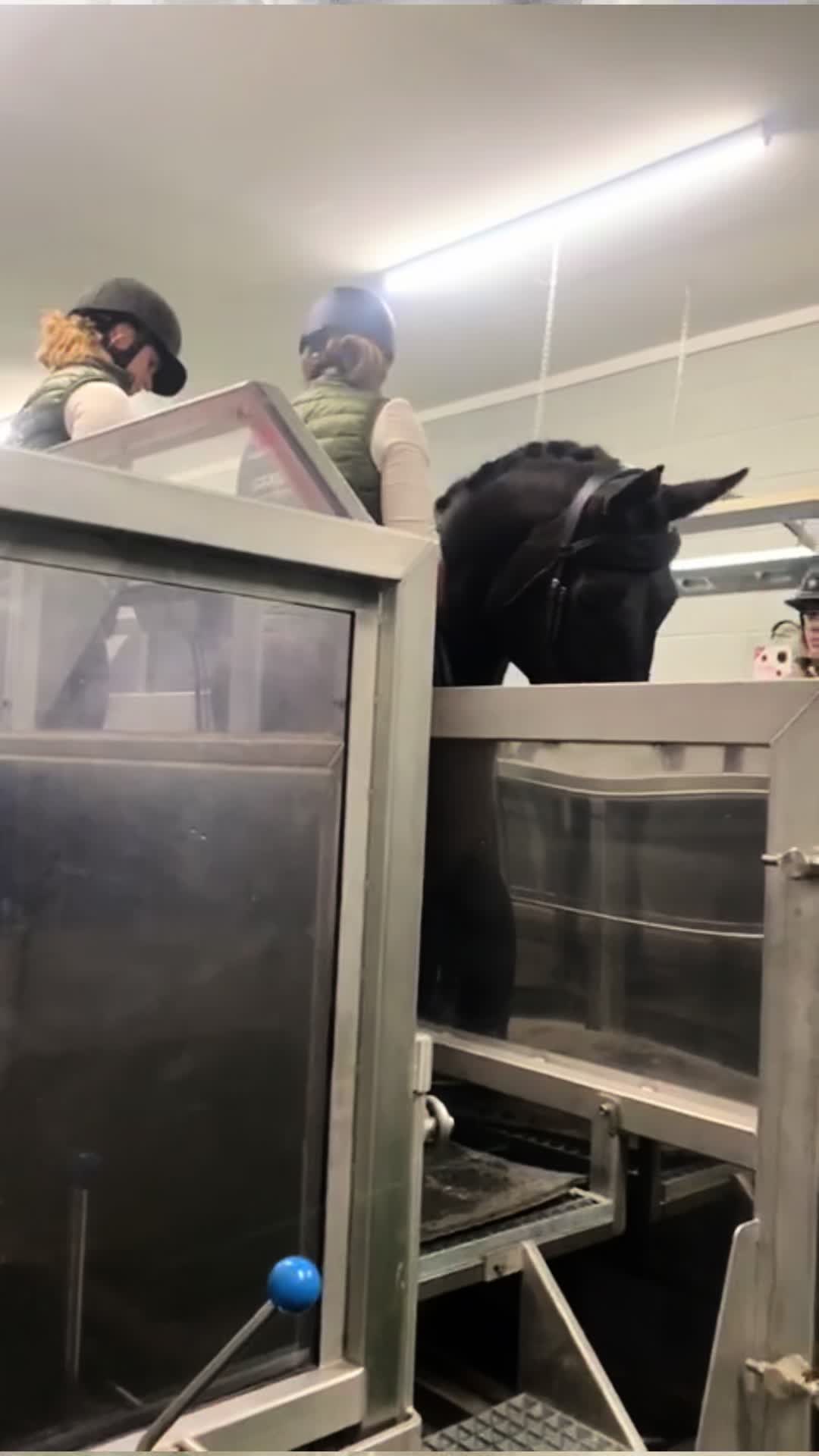 @A_G_Dressage