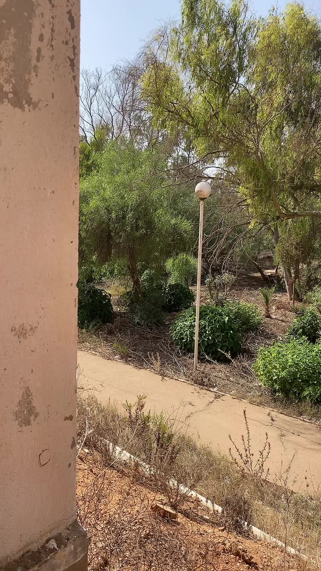 @Santi 🧿
