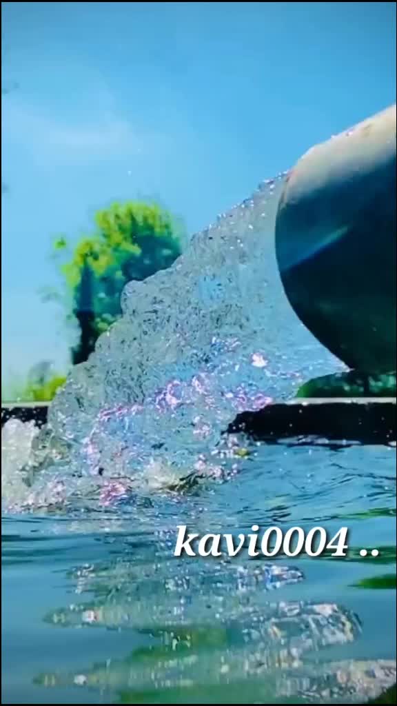 @jontypagani0004