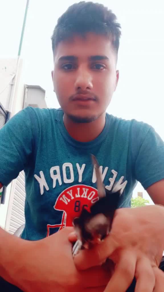 @Meharvan Daudhar