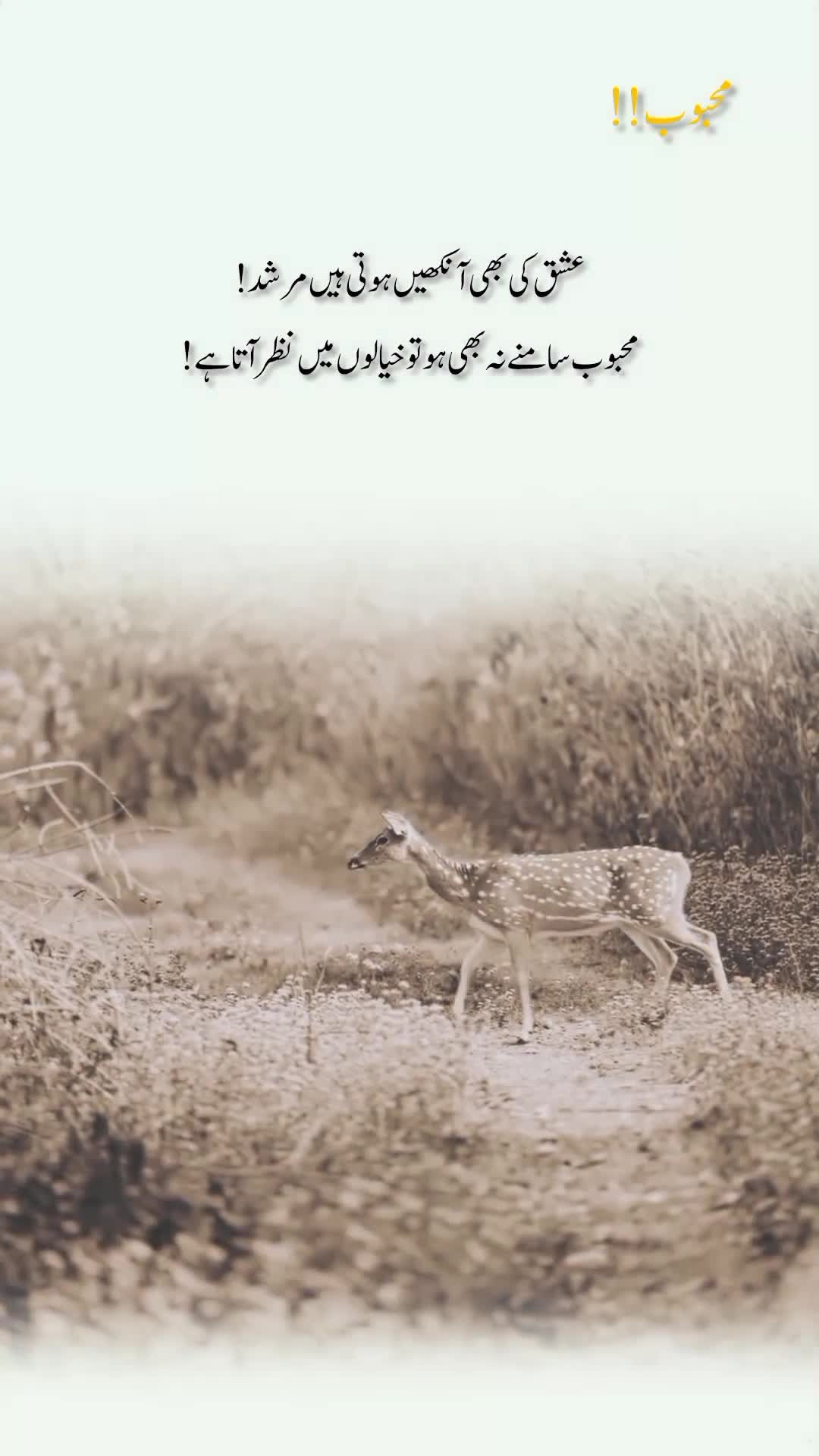 @درد دل