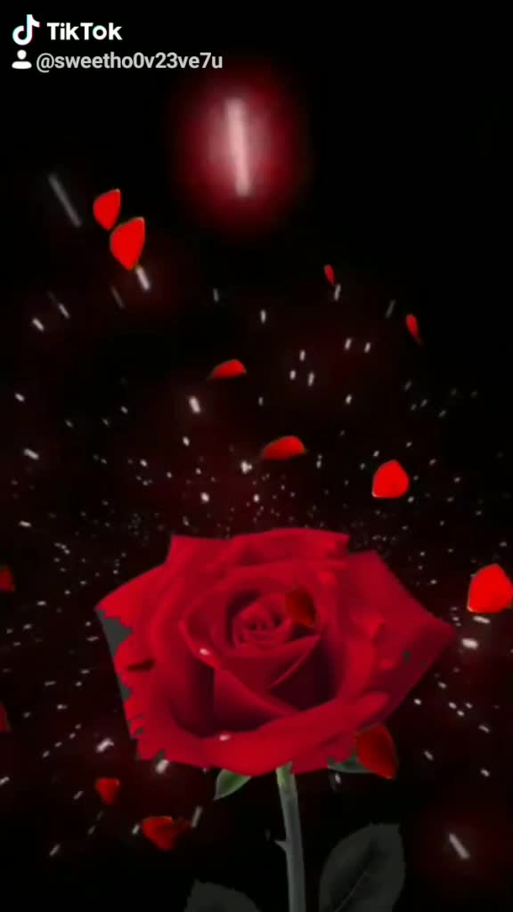 @sweety