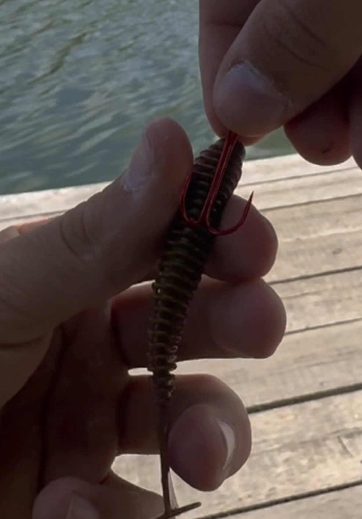 @𝗧𝗚.𝗗𝗬𝗫𝗙𝗜𝗦𝗛🎣