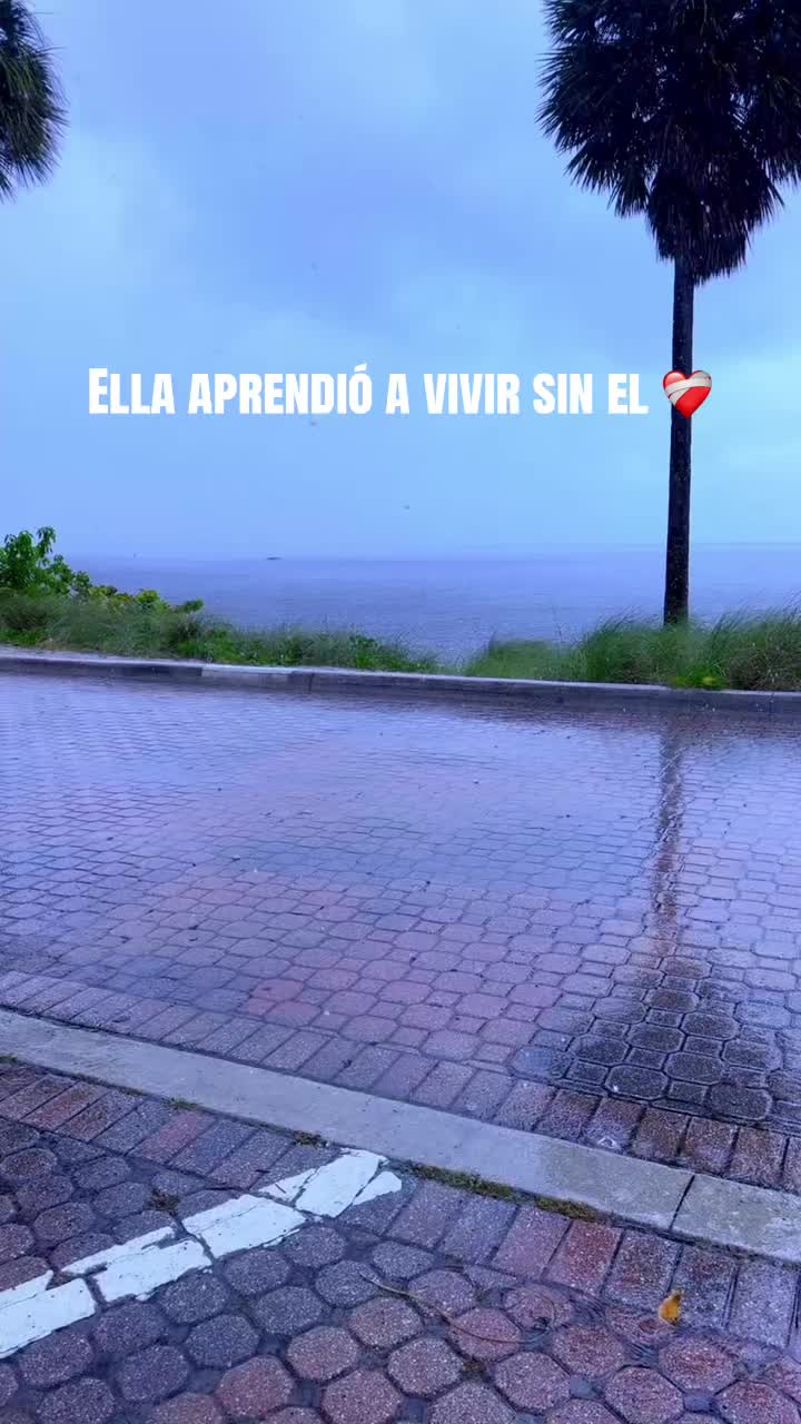 @DOMINIKA 🩵☀️🐣
