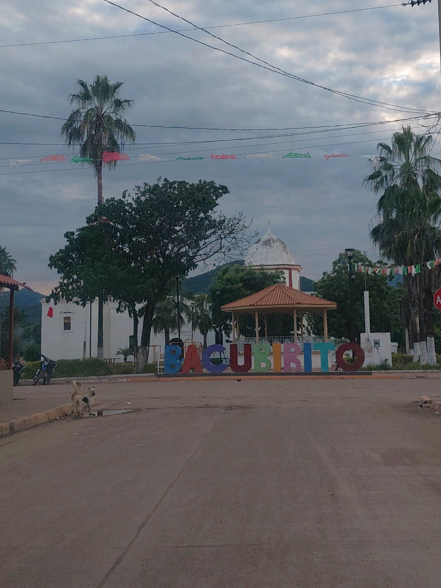 @De Todo RL Guasave