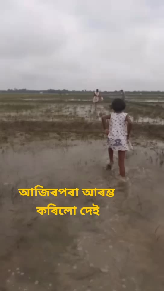 @brishti gogoi