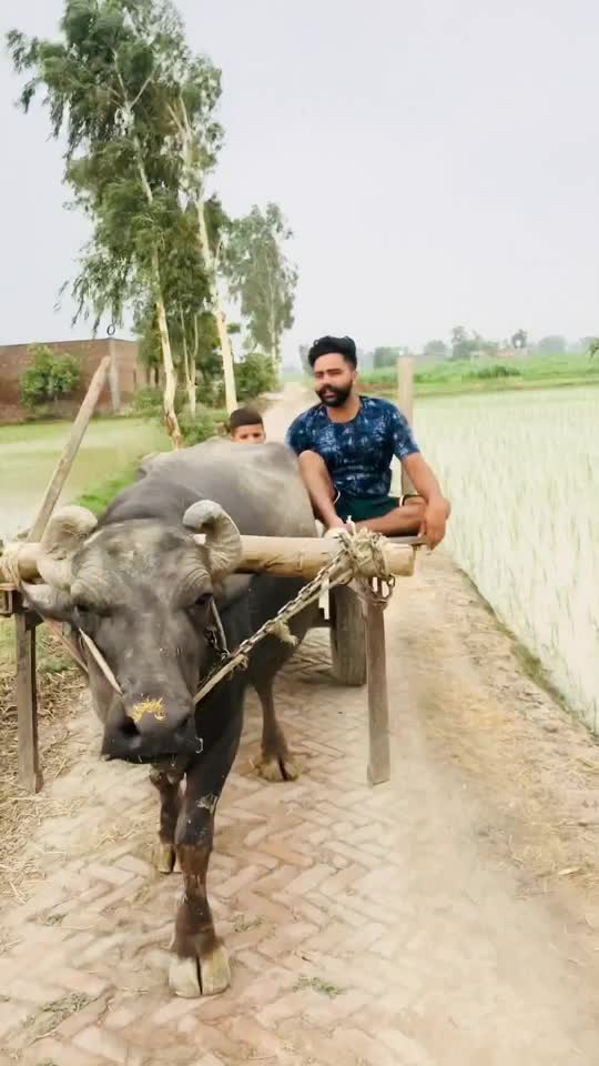 @gurlal_sabazpuria