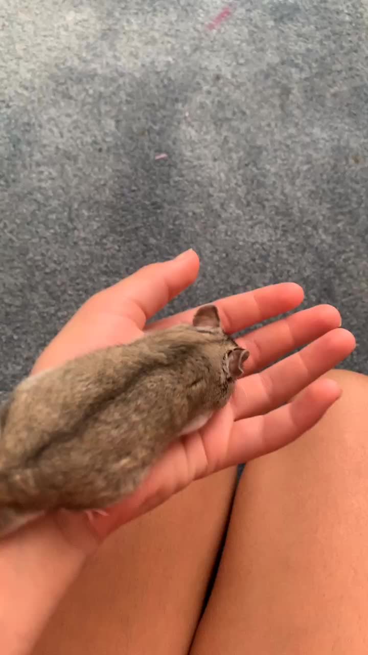 @Hi I’m bob let’s be friends!!!