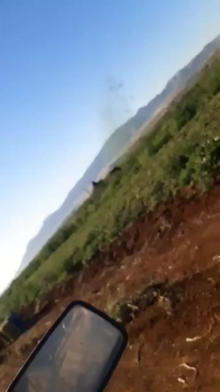 @Moussa Laissaoui