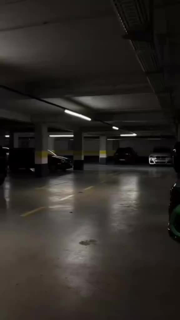 @car.spotted,sd