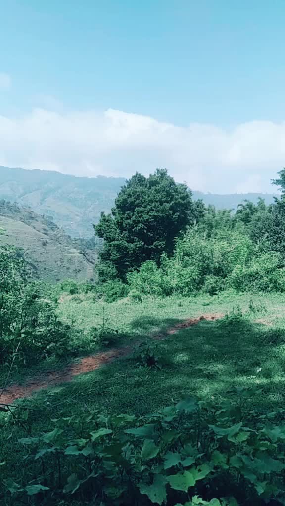 @Rohit Rjju Sharma