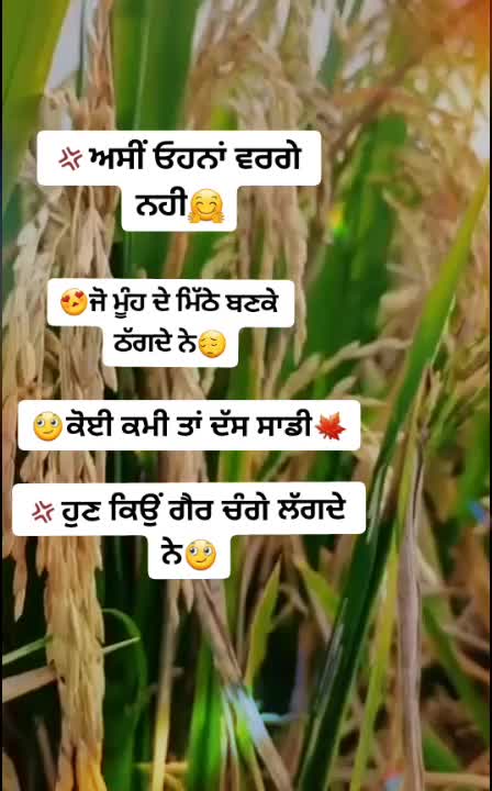 @@__Sukh__420