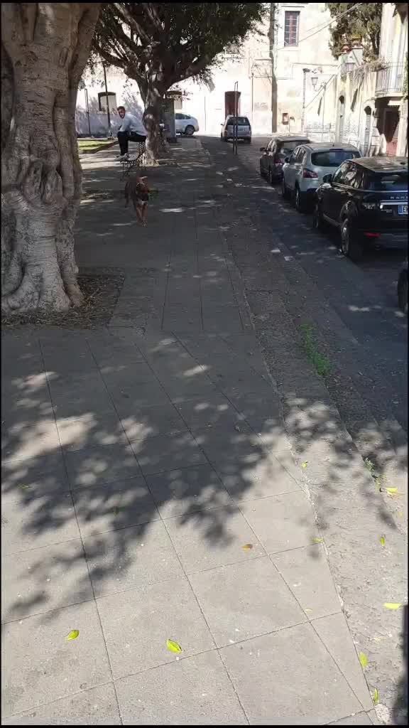 @🍒𝓒𝓜