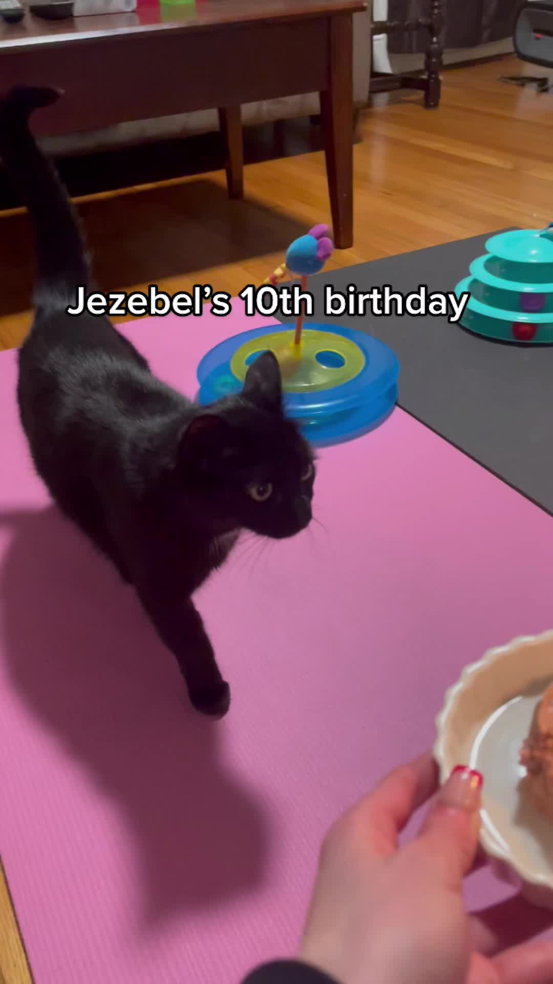 @Jezebel Grace